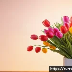 도로교통사 시험일정 및 신청 방법 관련 이미지 1